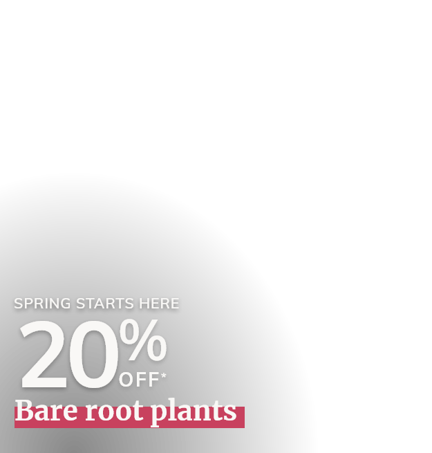 Bare root plants: 20% off