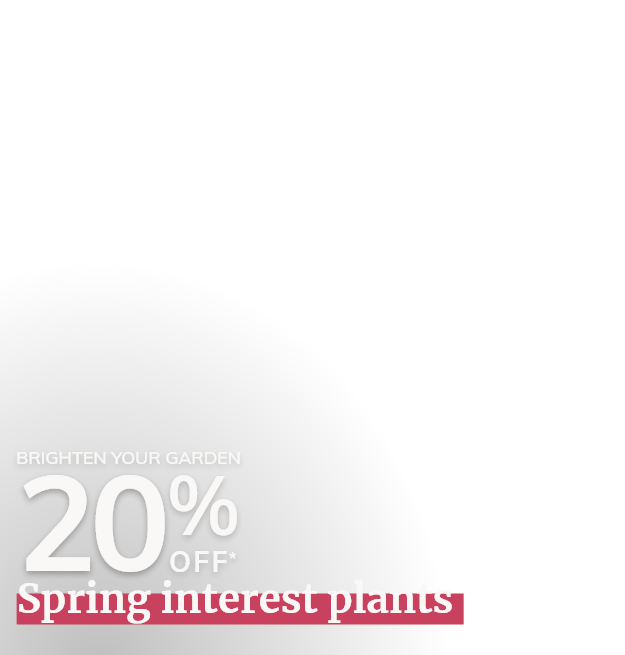 20% off Spring Interest Plants