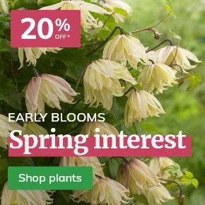 20% off Spring Interest Plants