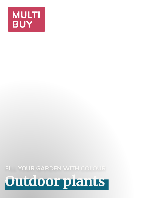 Outdoor plants: Mulibuy Offers