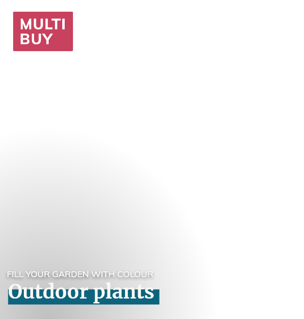 Outdoor plants: Mulibuy Offers
