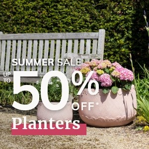 Up to 50% off Planters