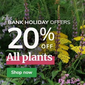 Bank Holiday Offer: 20% Off All Plants