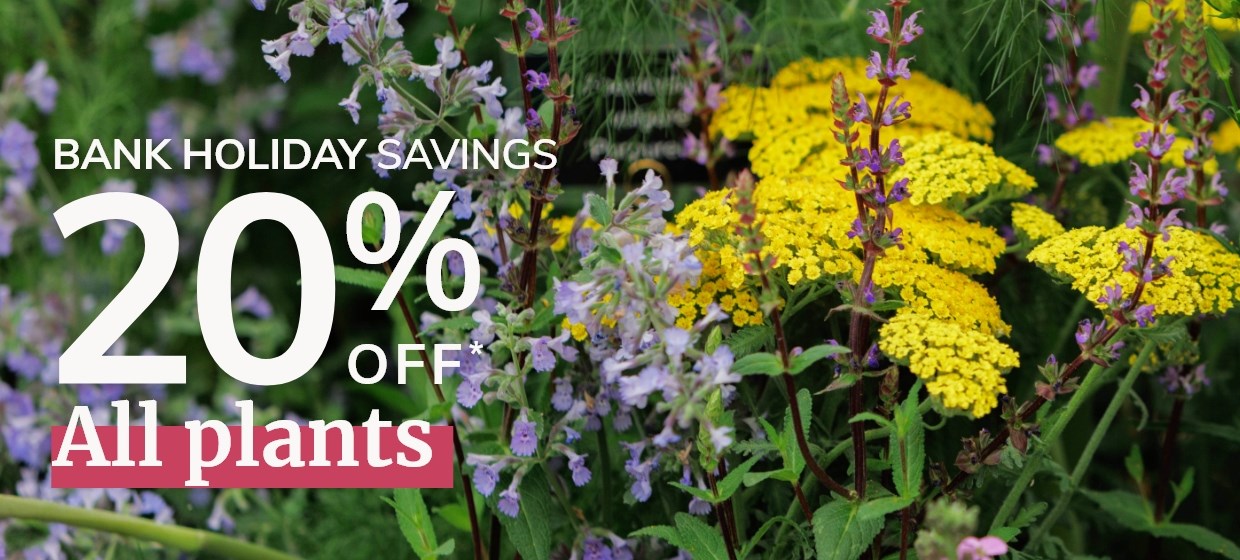 Plants: 20% Off