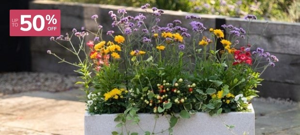 Planters: Up to 50% Off