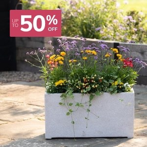 Planters: Up to 50% Off