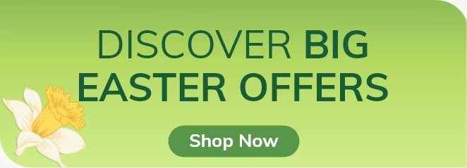 Discover Big Easter Offers | Shop Now