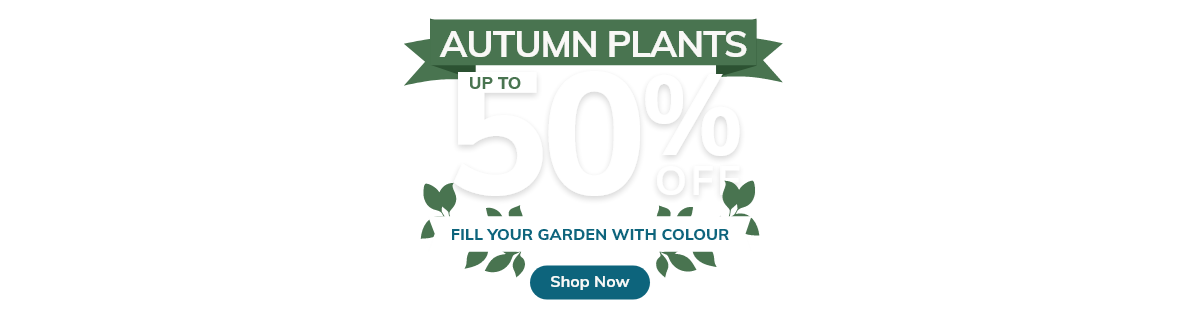 Autumn Plant Sale: Up to 50% Off