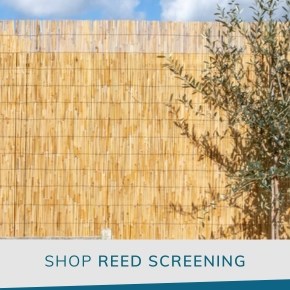 Reed Screening