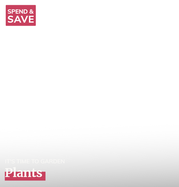 Plants