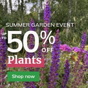 Summer Sale: Up to 50% off Plants