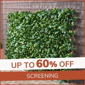 Screening: up to 60% off