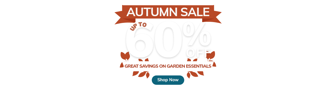 Autumn Sale: Up to 60% Off