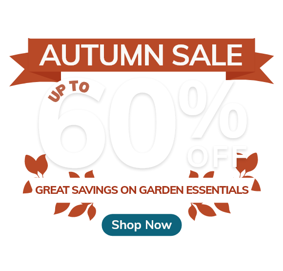 Autumn Sale: Up to 60% Off