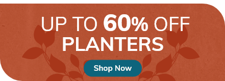 Planters: up to 60% off