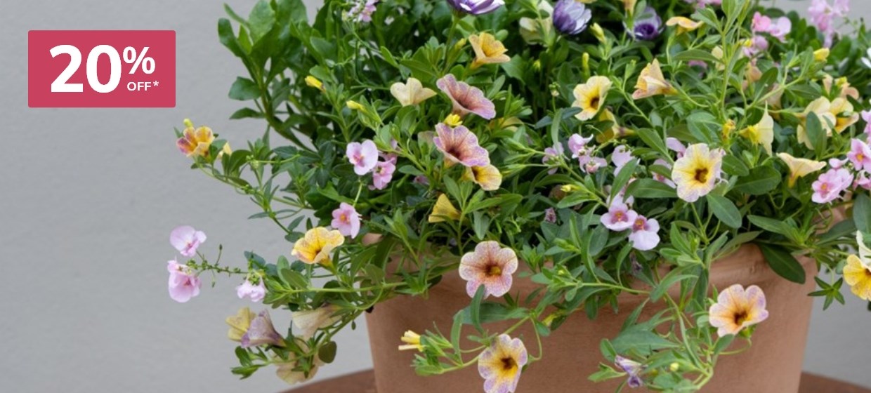 Easyplanters: 20% off selected