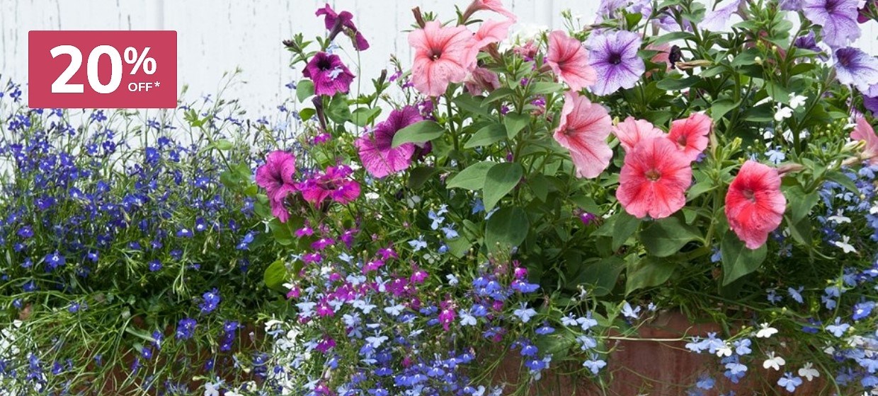 Bedding plugs: 20% off selected