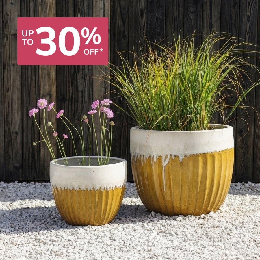 Planters: Up to 30% off