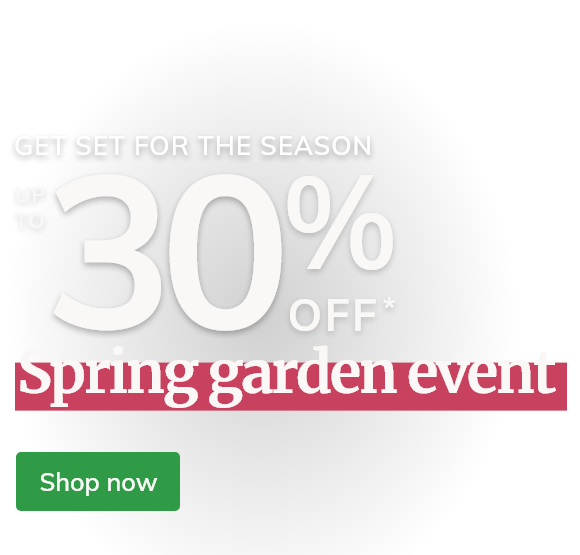 Stylish garden planters 