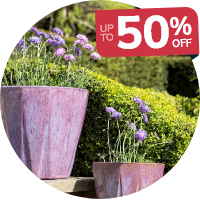 Planters: Up to 50% off