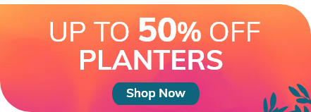 Up to 50% off Planters