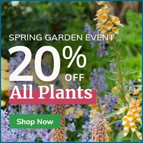 All Plants: 20% Off