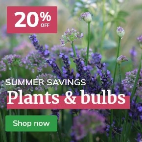 All plants: 20% off