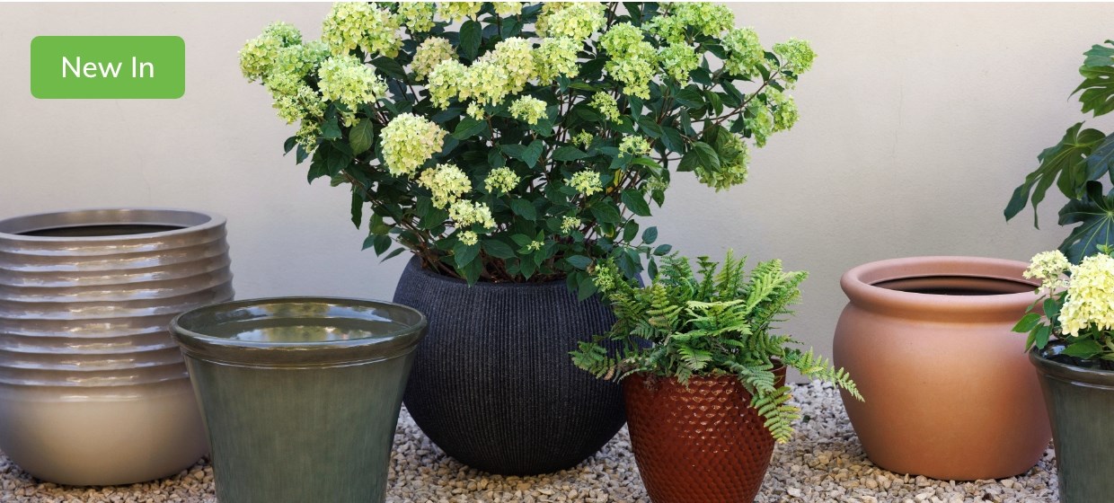 Planters