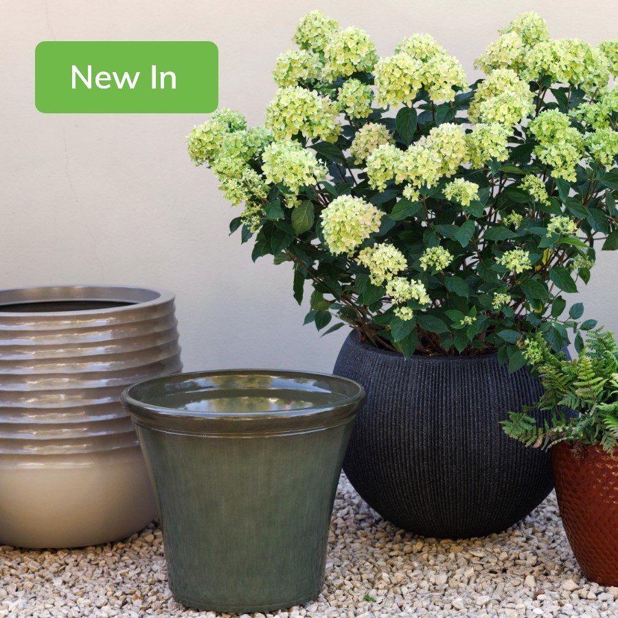 Planters