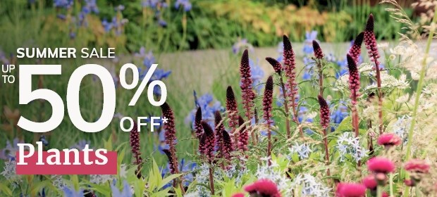 Up to 50% Off Plants