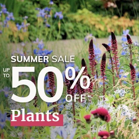 Up to 50% Off Plants