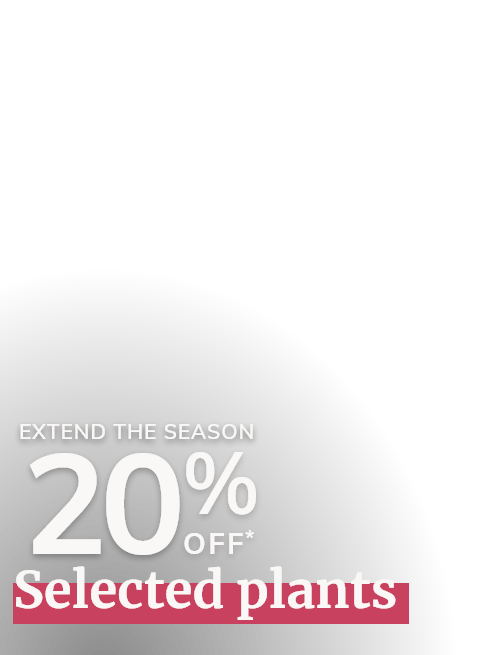 Extend the season plants