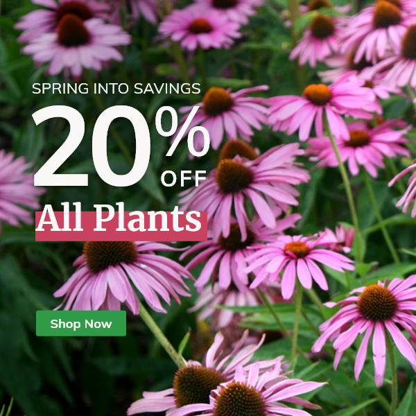 All Plants: 20% Off