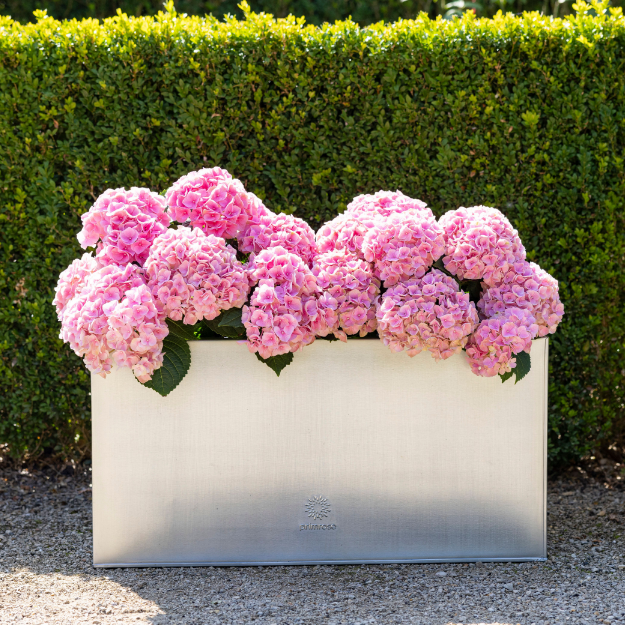 Zinc Planters