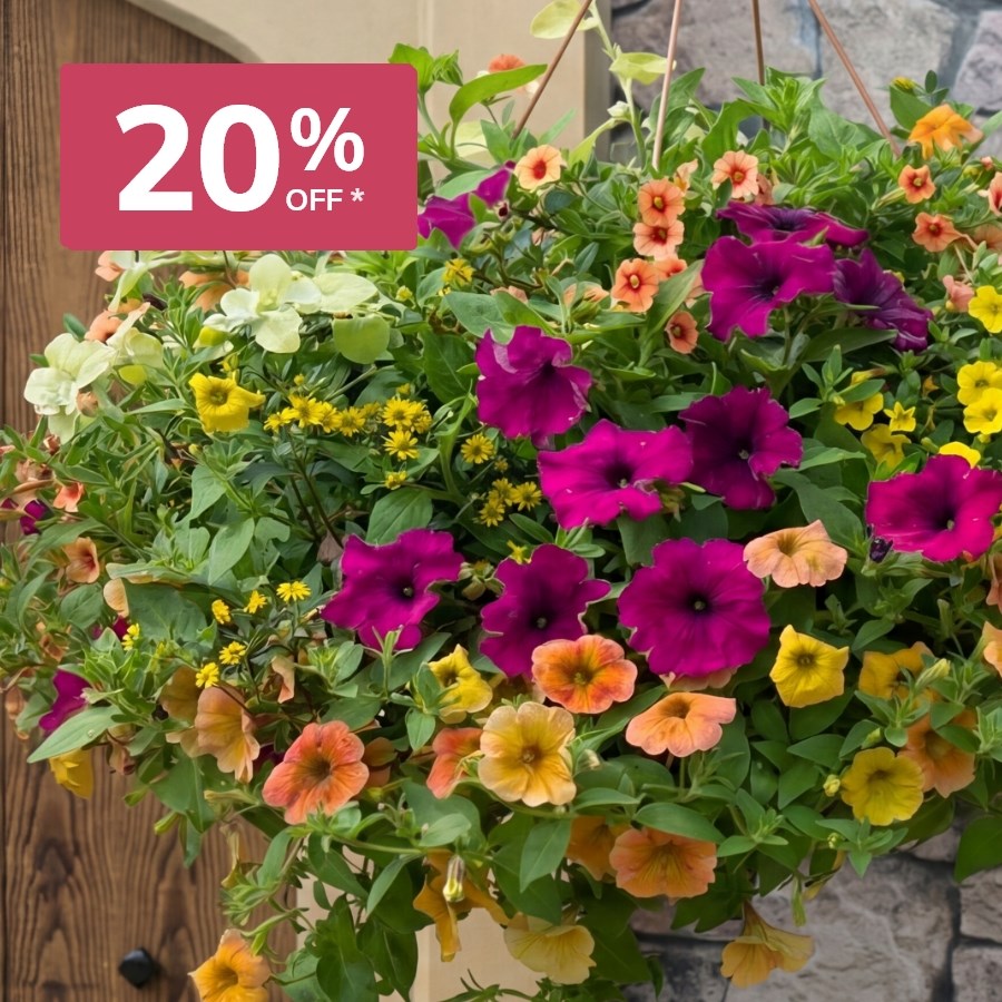 Easyplanters: 20% off