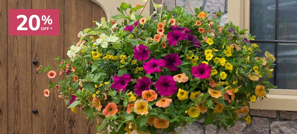 Easyplanters: 20% off