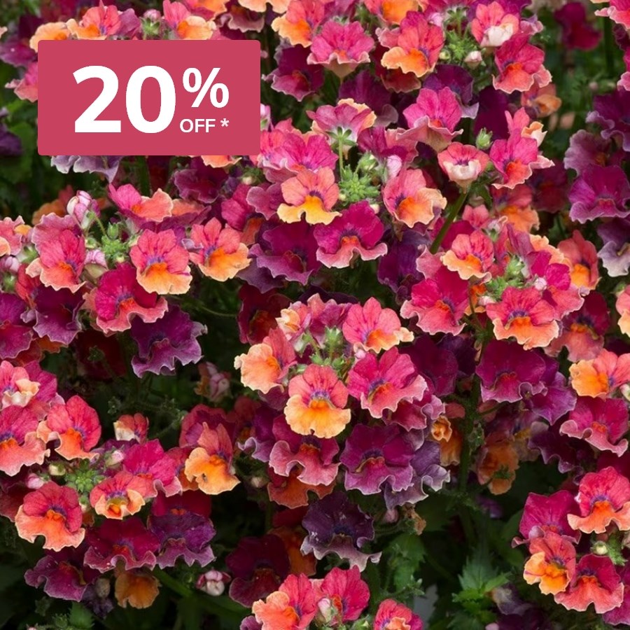 Bedding plugs: 20% off