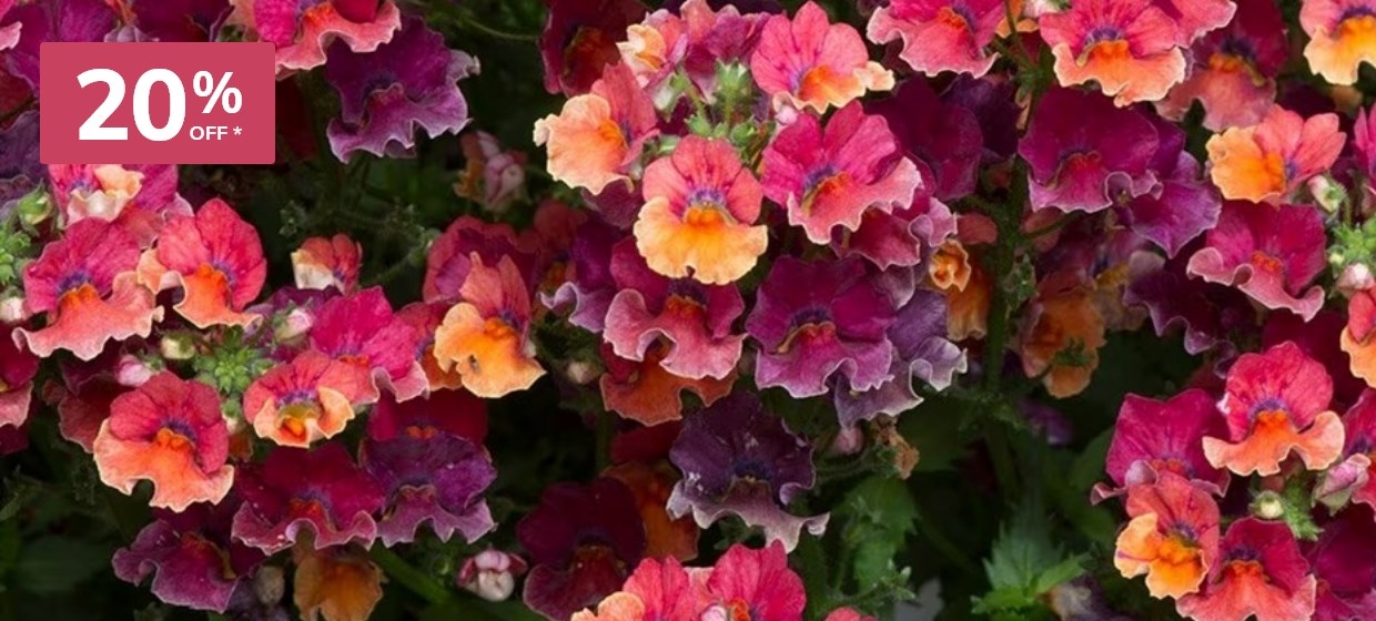 Bedding plugs: 20% off