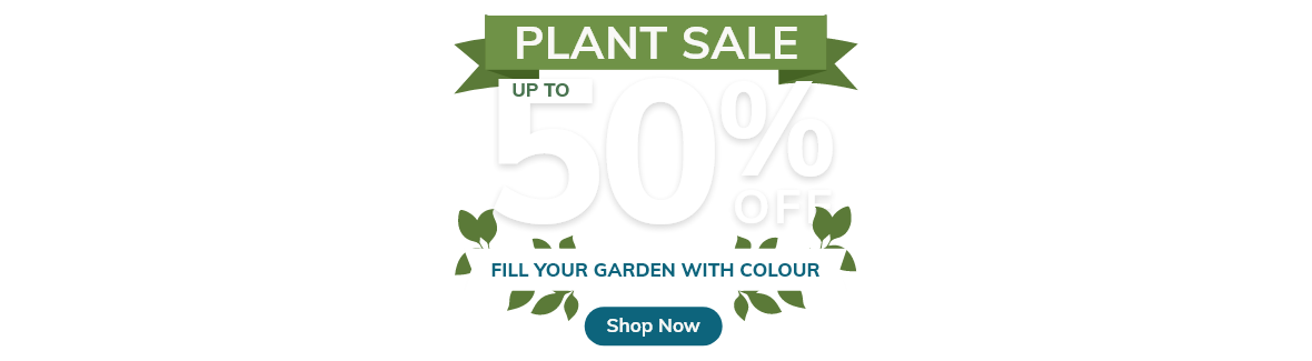 Autumn Plant Sale: Up to 50% Off