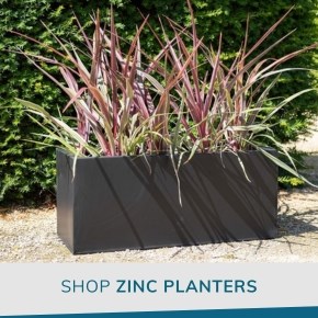 Zinc Planters