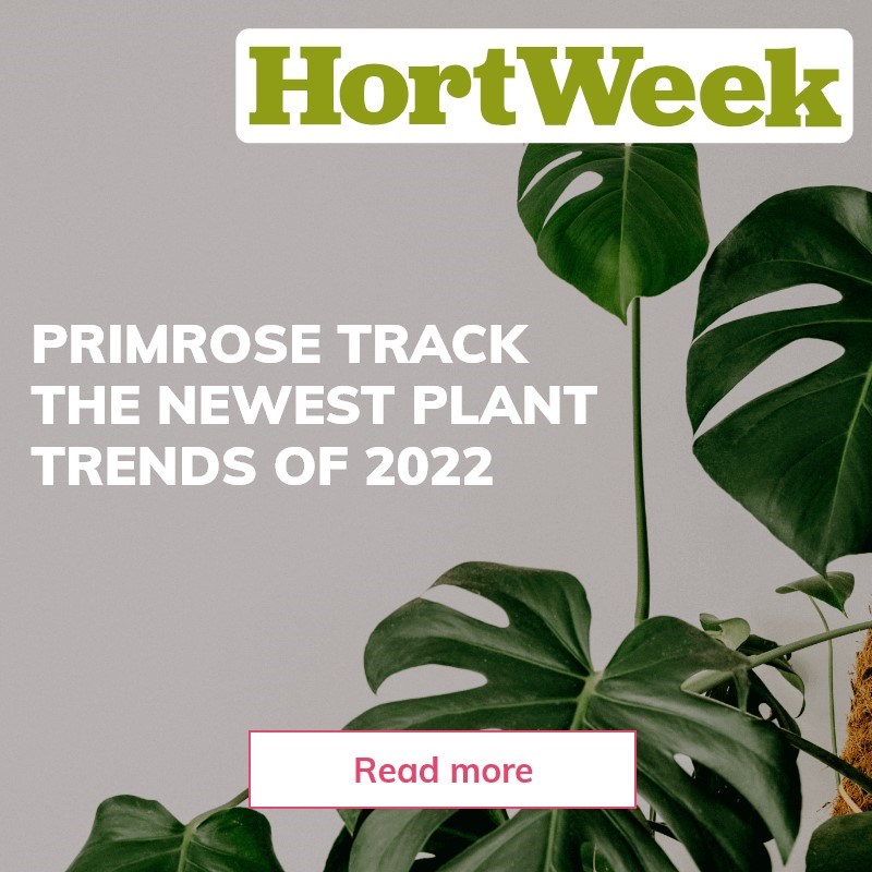 Newest plant trends