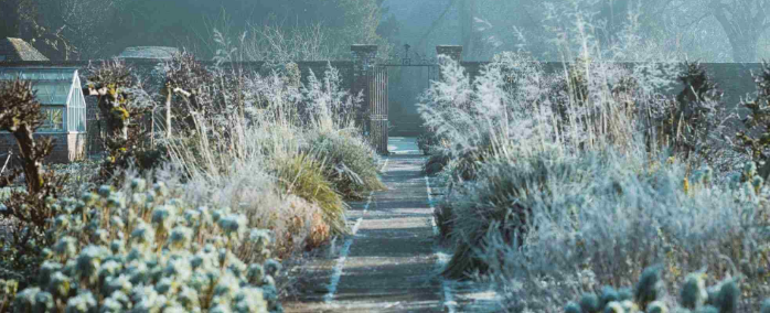 How to prepare your garden for winter