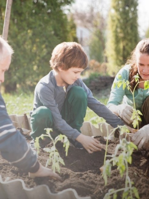 Compost & Fertiliser