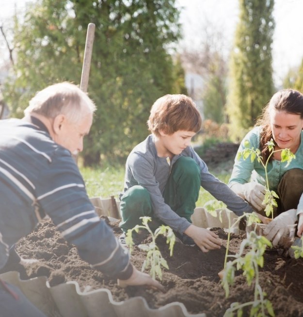 Compost & Fertiliser
