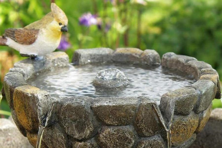 How to Stop Insects in Water Features