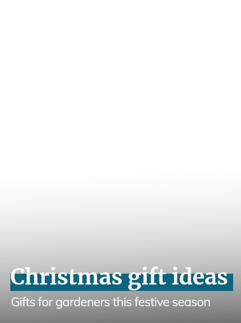 Christmas Gift Ideas
