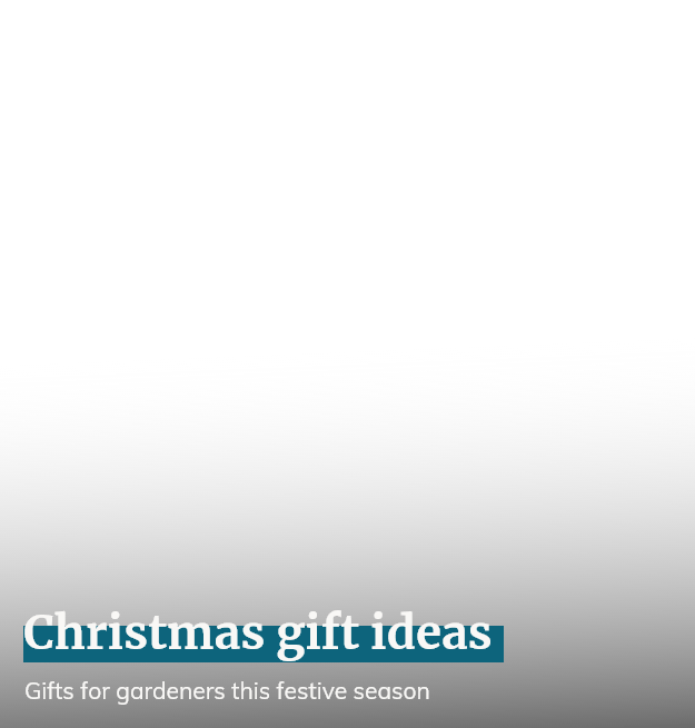 Christmas Gift Ideas