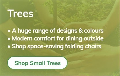 Small Garden Trees