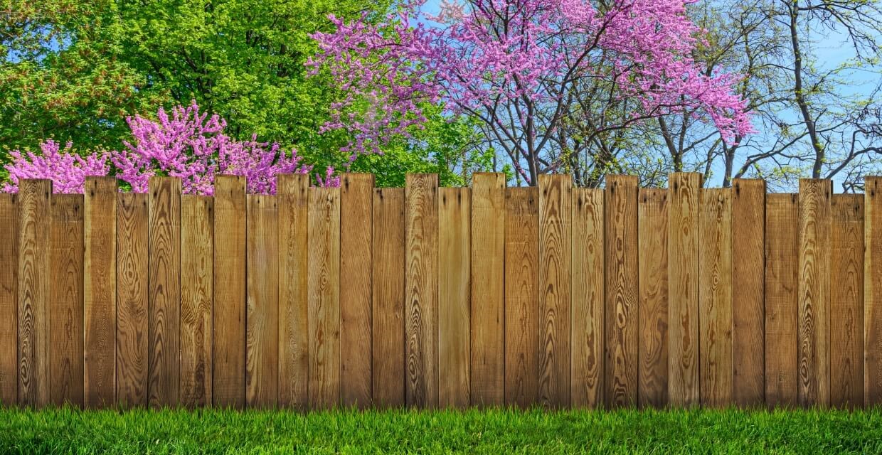How to incorporate your fence into your garden design