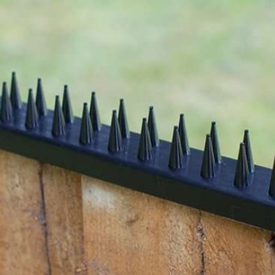 Fence Spikes